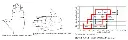 structural_glove_sizing_chart.webp