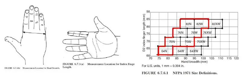 structural_glove_sizing_chart.webp