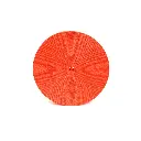 rnr-1-nylon-tubular-webbing-cut-lengths-or-300-ft-spool-16.webp