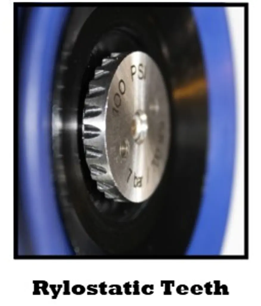 rylostatic_teeth_1__52441.webp